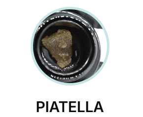 Piatella